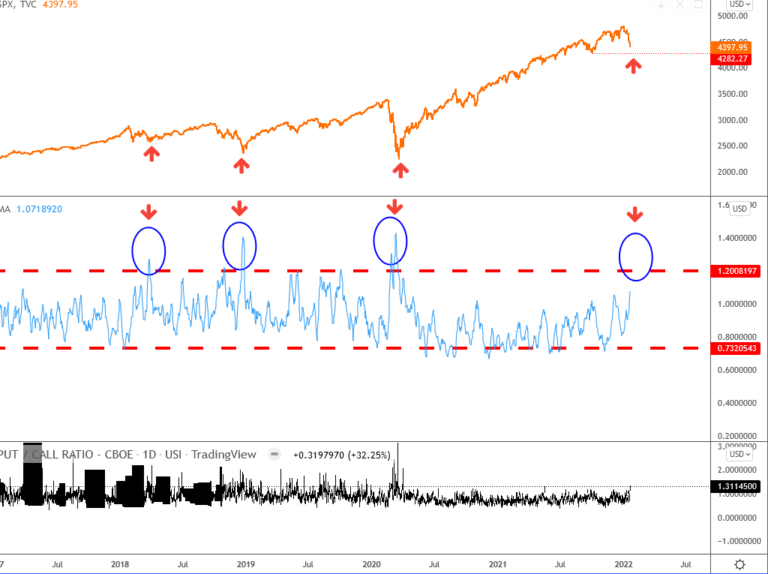 Put/Call Ratio - Wavetraders